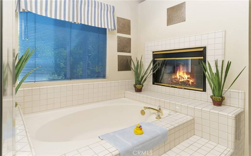 Master Bathroom Dual Fireplace