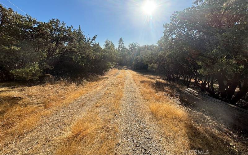 Private Road to Cabin