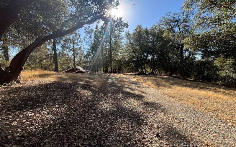 Private Road to Cabin