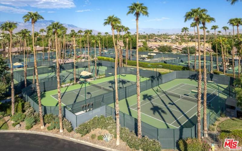 14 tennis courts