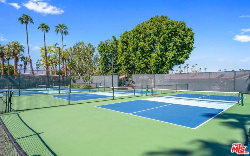 9 pickleball courts