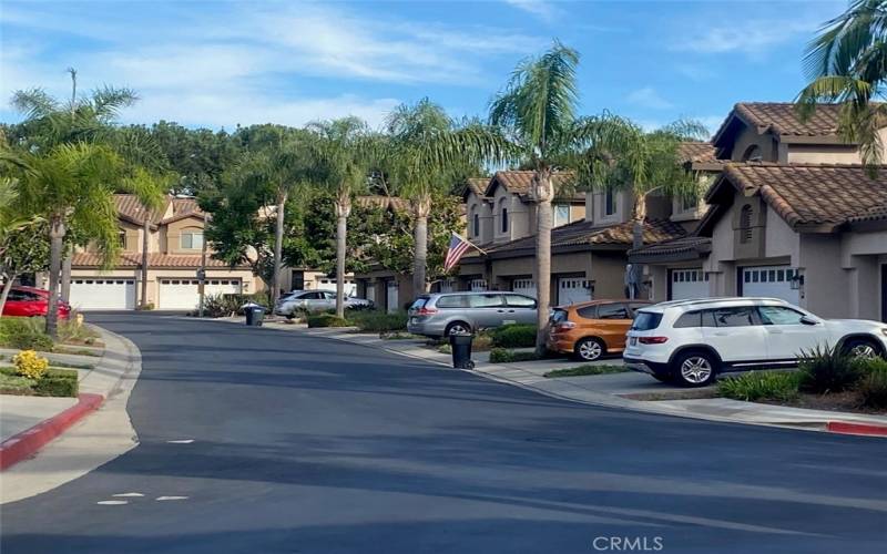 Street view of Tortuga Cay