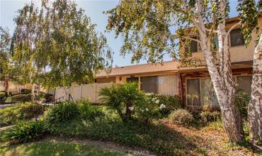 1436 Ramona Drive, Newbury Park, California 91320, 2 Bedrooms Bedrooms, ,1 BathroomBathrooms,Residential,Buy,1436 Ramona Drive,SR24213410