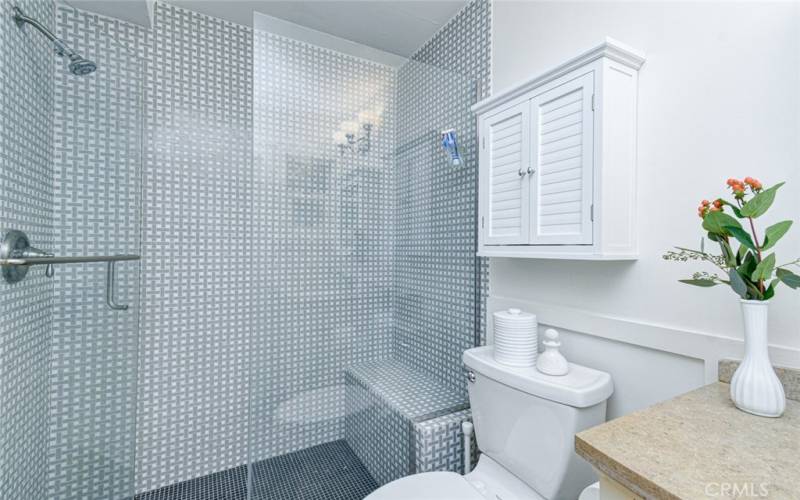 Modern walk-in shower