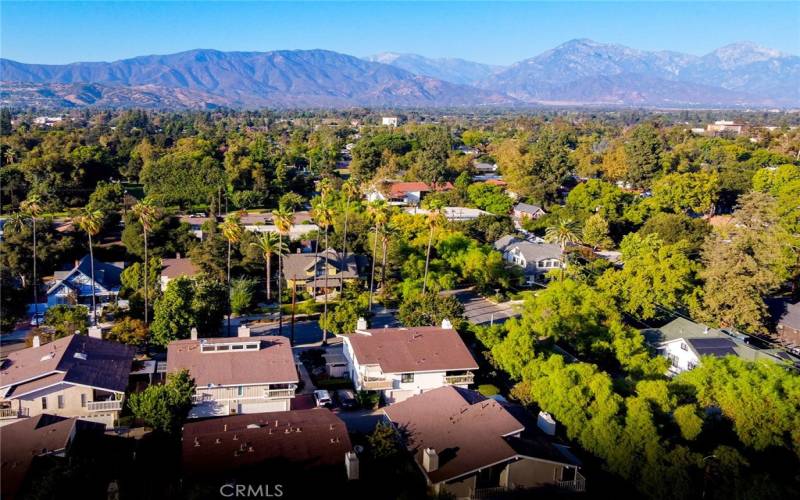 Claremont - City of Trees and PHD's