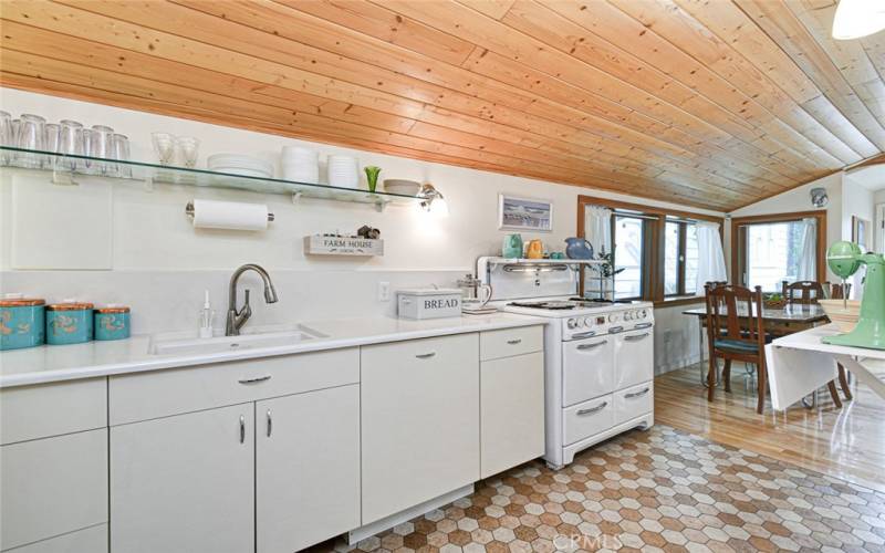 Modern Clean look with hidden dishwasher and trash/recycle bins