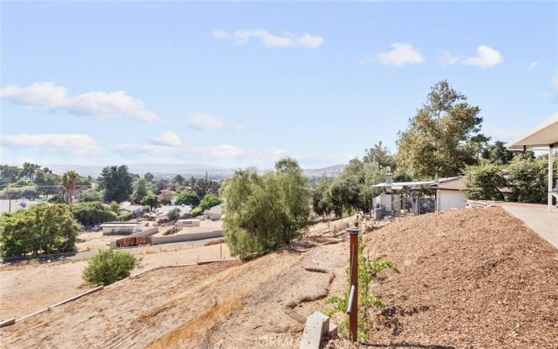 gentle hillside has walking path down to Lower portion of the lot. top part of the gentle hillside has one grapevine with room to add a few more rows.