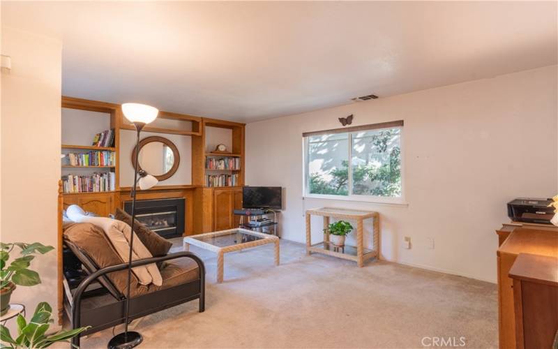 Living Area with Fireplace