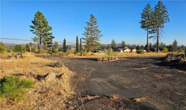 5399 Pentz Road, Paradise, California 95969, ,Land,Buy,5399 Pentz Road,SN24219200