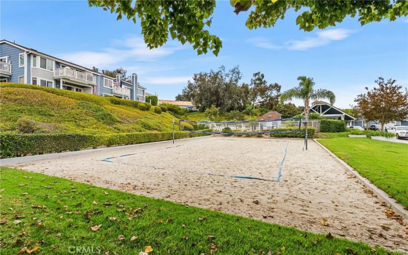 Volleyball court