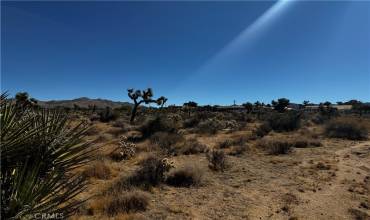 0 Plute Trail, Yucca Valley, California 92284, ,Land,Buy,0 Plute Trail,JT24219754