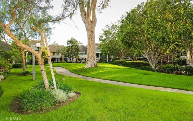 Lush green belt, with paved walkway for afternoon strolls.