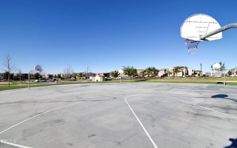 Basketball Court