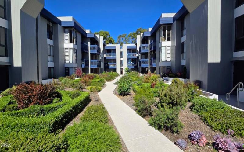 Middle courtyard