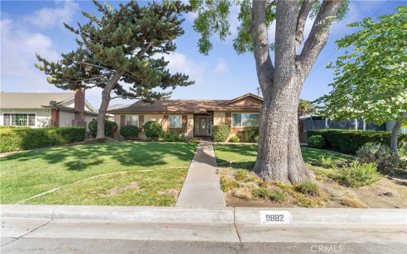 Spacious front yard.