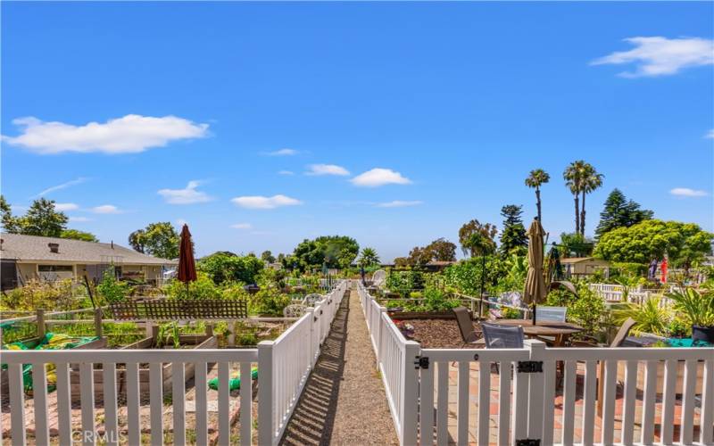 Community Garden