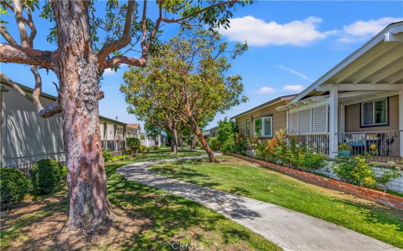 Greenbelts with sidewalk throughout