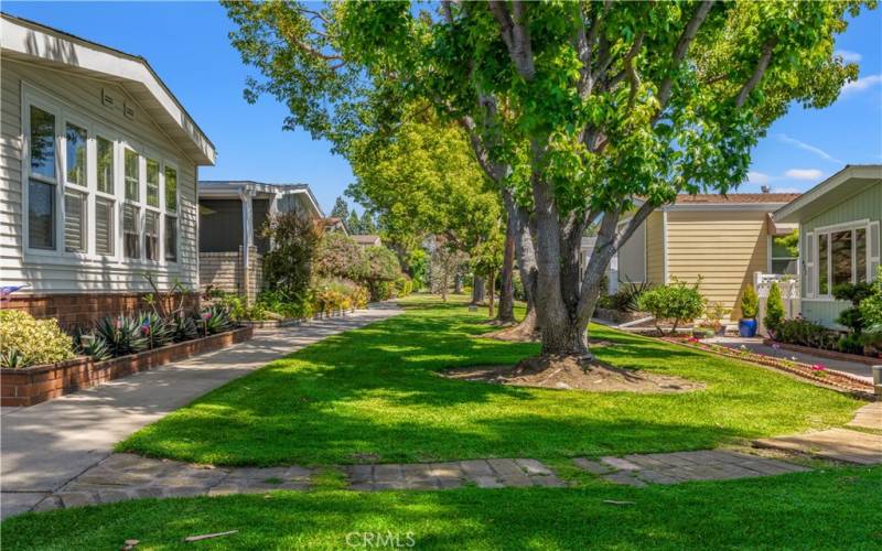 Greenbelts with sidewalk throughout