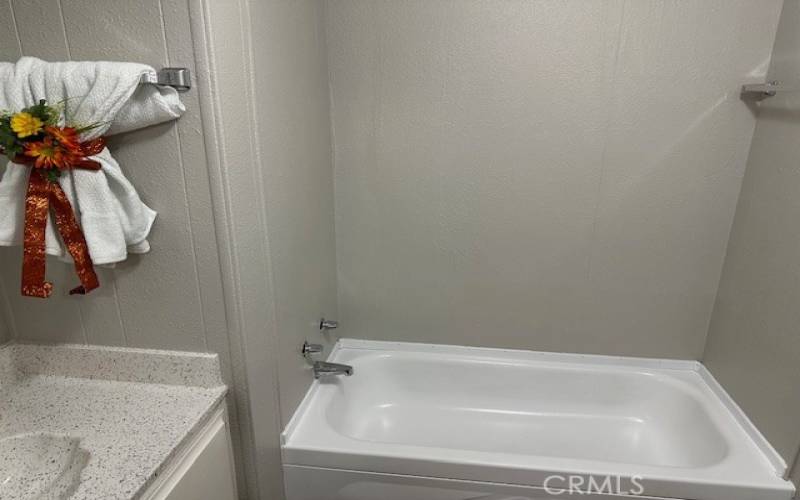 Guest Bathroom Tub.