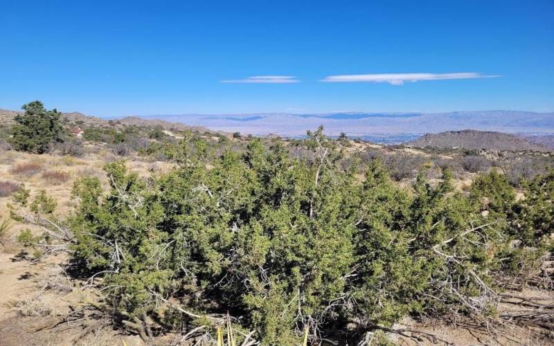 Pinyon Crest Lot