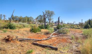 1017 Rochelle Lane, Paradise, California 95969, ,Land,Buy,1017 Rochelle Lane,SN22223992