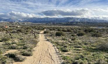 0 Vac/Fort Tejon Pav /Vic Avenue, Pearblossom, California 93553, ,Land,Buy,0 Vac/Fort Tejon Pav /Vic Avenue,SR24220468