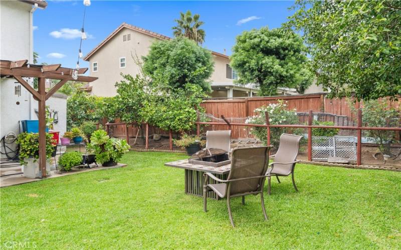 backyard facing fruit trees