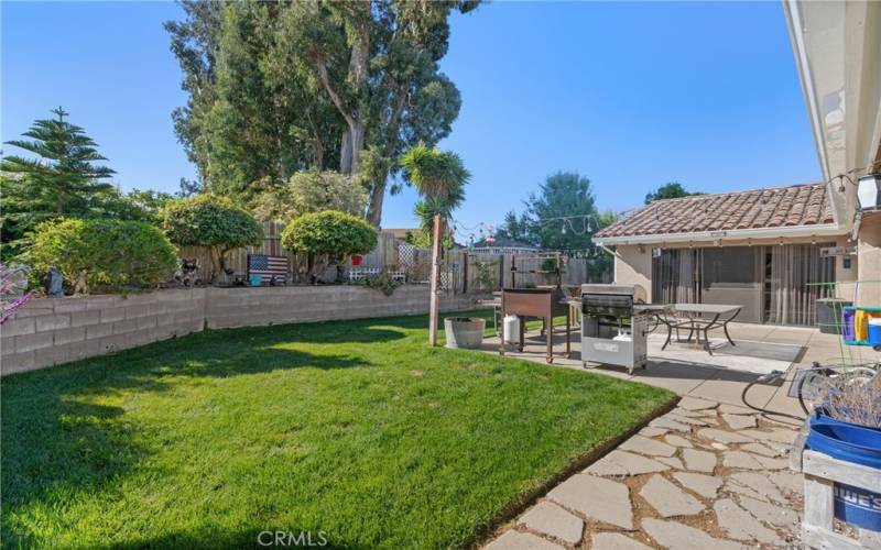 Back Yard & Patio