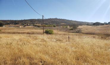 3501 State Highway 132, La Grange, California 95329, ,Land,Buy,3501 State Highway 132,MC24218141