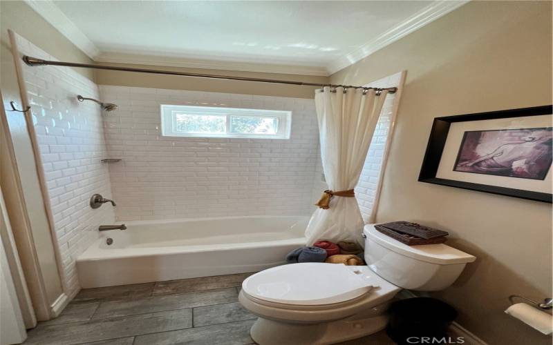 Guest bathroom