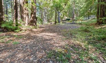 19900 Kings Creek Road, Boulder Creek, California 95006, ,Land,Buy,19900 Kings Creek Road,ML81984498