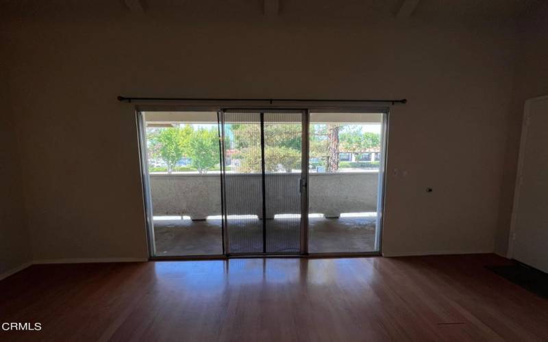 Sliding Door In Living Room