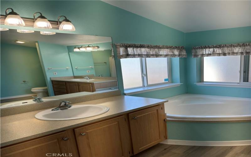 Master bath with tub and sink