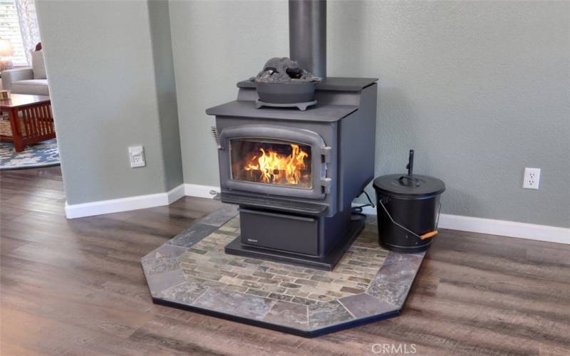 Free Standing Fire Place