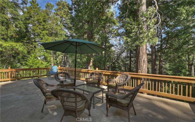 Beautiful forest views from the deck