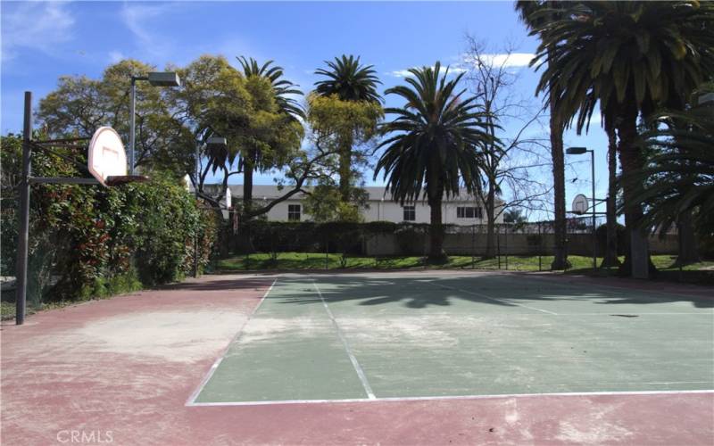 Basketball Court