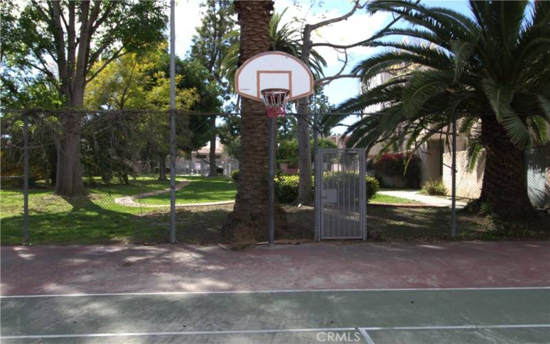 Basketball Court