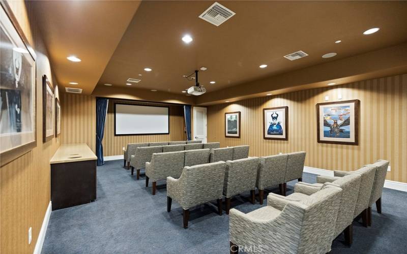 Theatre Room