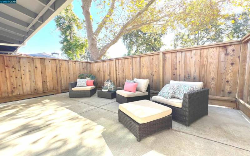 Spacious Patio