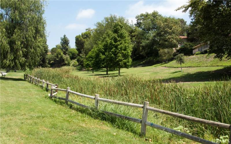 The Aliso Creek Walk is near the property.