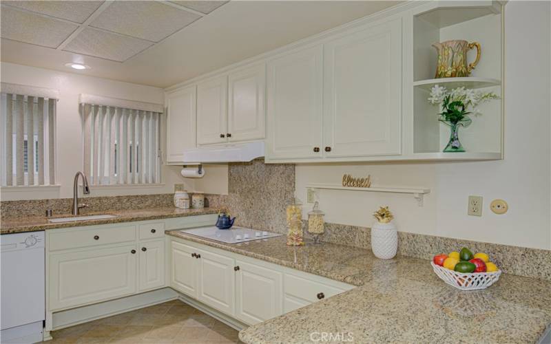 Upgraded Granite Counters & Backsplash.