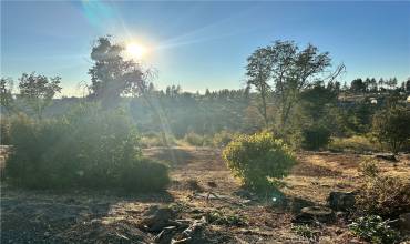 2150 De Mille Road, Paradise, California 95969, ,Land,Buy,2150 De Mille Road,SN24189790