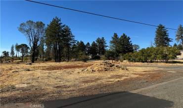 1773 Drendel Circle, Paradise, California 95969, ,Land,Buy,1773 Drendel Circle,SN24220336