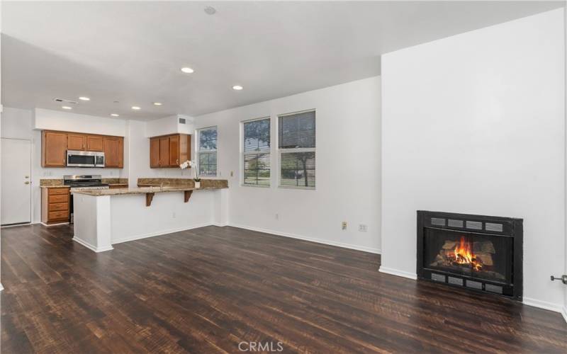 Living Room / Dining Area/ Kitchen