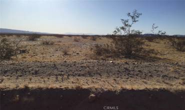 20 Raymond Drive, 29 Palms, California 92277, ,Land,Buy,20 Raymond Drive,JT24221391