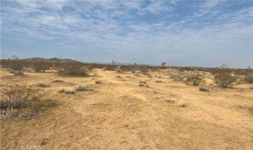 338 Stable Road, Landers, California 92285, ,Land,Buy,338 Stable Road,IV24221473