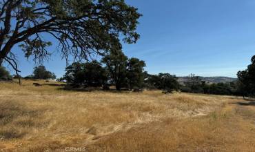 0 Bear Valley Road, Mariposa, California 95338, ,Land,Buy,0 Bear Valley Road,MP24212862