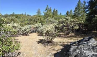 0 Indian Cemetary Road, Berry Creek, California 95916, ,Land,Buy,0 Indian Cemetary Road,OR24221639