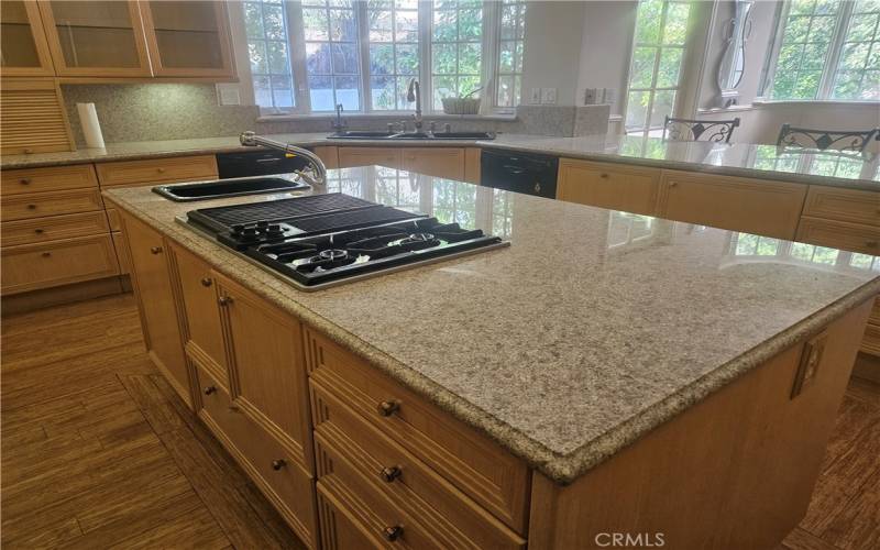 Large Island and Granite Counter Tops