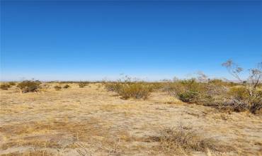 0 Beekley Road, Pinon Hills, California 92372, ,Land,Buy,0 Beekley Road,IV24221671